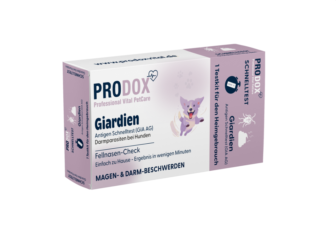 PRODOX Giardia rapid test - antigen PRODOX Giardia rapid test - antigen